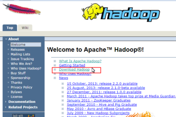 如何获取Hadoop源码的下载指南？  第3张