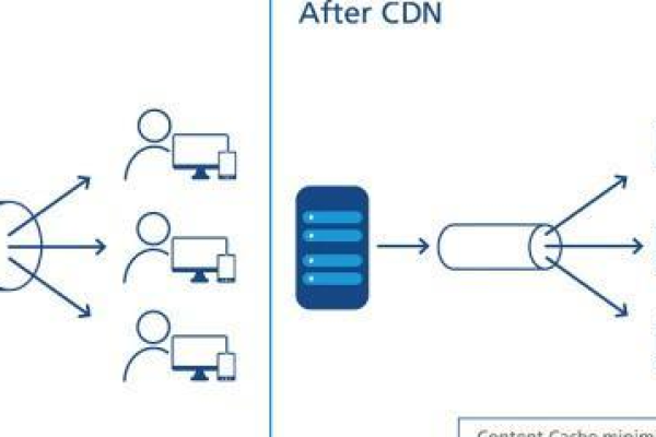 什么是CDN502？它有何独特之处？  第2张