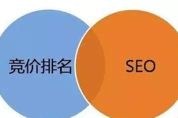 如何组建一支高效的SEO团队？