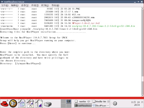 Linux中怎么安装Realplay 10.0  第1张