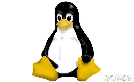 万网Linux是什么？它有哪些特点和优势？