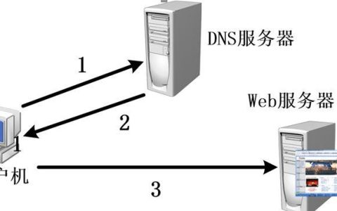 域名和服务器在搭建网站中各自扮演什么角色？