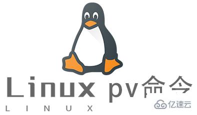 如何在Linux中使用pv命令进行操作？