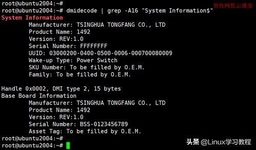 如何使用Linux命令查看系统配置？