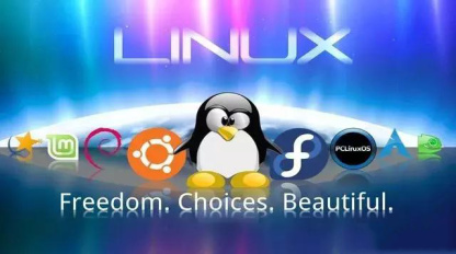 为什么选择在服务器上安装Linux操作系统？