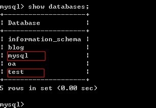 如何修改MySQL数据库的基本用法？