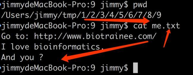 如何删除Linux文件夹下的所有文件？
