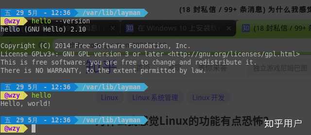 Linux Hg是什么？探索这一强大工具的功能与应用