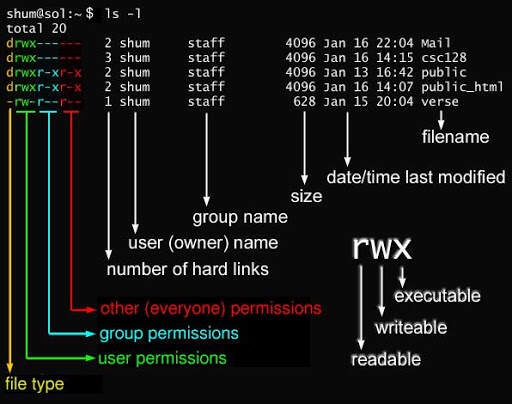 Linux .rd 文件是什么？它在系统中扮演什么角色？