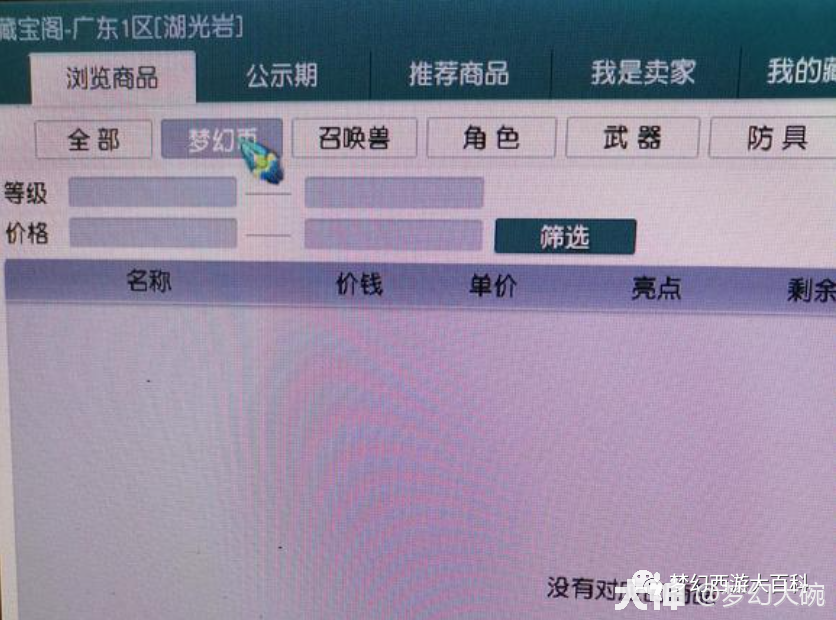 藏宝阁购买服务器的含义是什么？