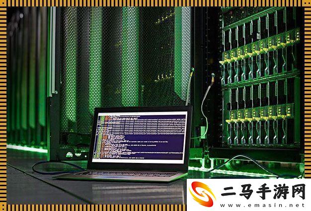 黑曼君的服务器究竟被称为什么？