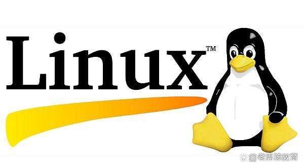 Linux中的‘more’和‘less’命令有何区别与用途？