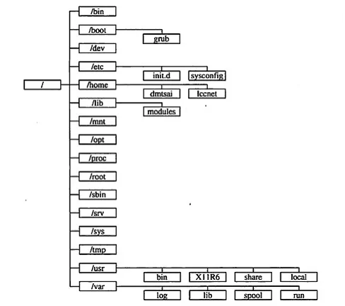 如何理解和管理Linux系统中的目录属性？