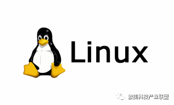 探索Linux世界，哪些下载工具最受青睐？