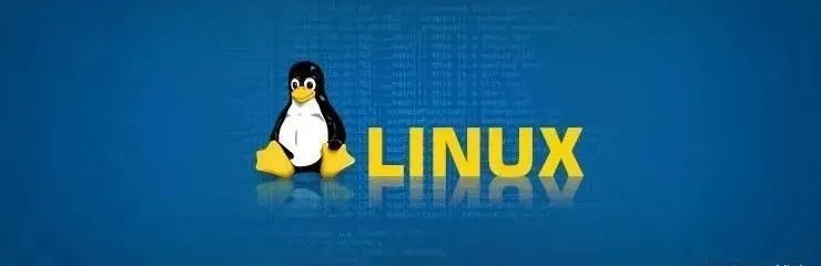 为何我的Linux系统启动如此缓慢？如何优化？