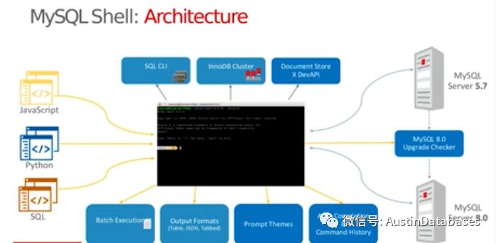 如何建立与Linux上的MySQL数据库的连接？