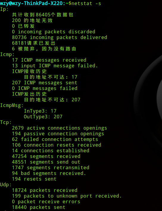 如何使用Linux命令netstat来监控网络连接？