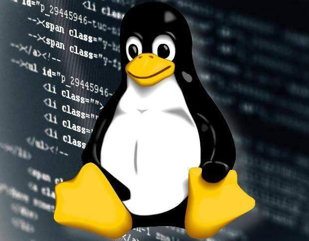 如何在Linux系统中查看操作系统信息？