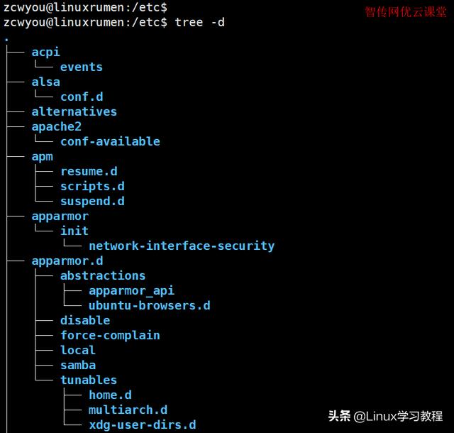 如何利用Linux中的tree命令来可视化目录结构？