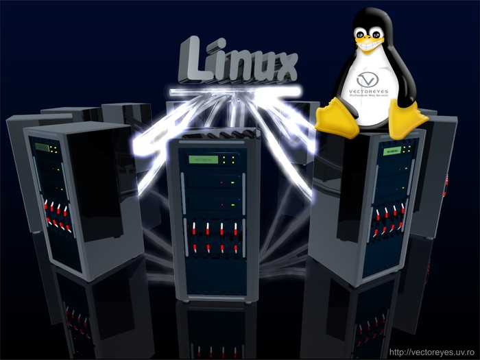如何在Linux系统中高效地传递文件？
