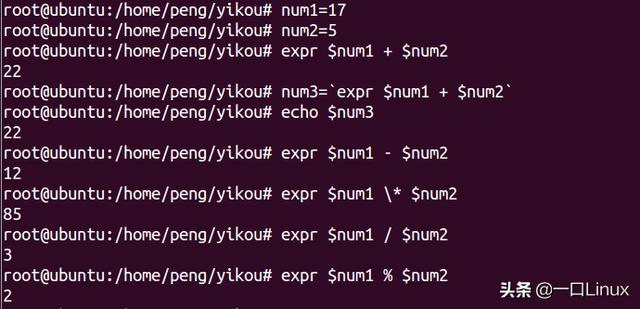 如何通过实战掌握Linux Shell脚本编程？