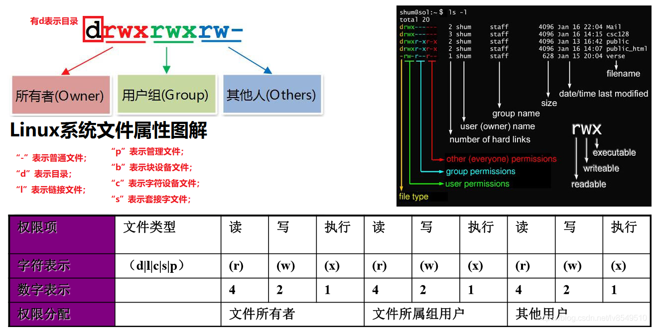 Linux系统中的755权限设置有何作用与意义？