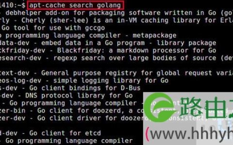 如何在Linux系统上安装Go编程语言？