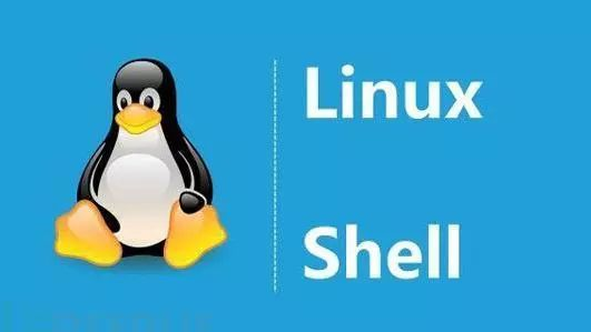 如何在Linux系统中切换Shell？
