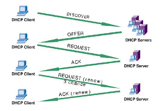 DHCP Option 82 如何提升网络定位与管理效率？  第1张