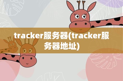 为何我的Tracker服务器无法建立连接？
