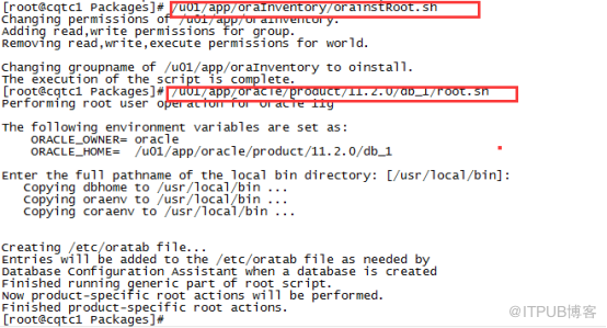 如何在Linux系统上安装Oracle数据库？