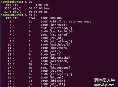 如何打开Linux命令行界面？