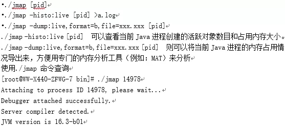 如何在Linux系统中查看Java应用程序的内存使用情况？  第1张