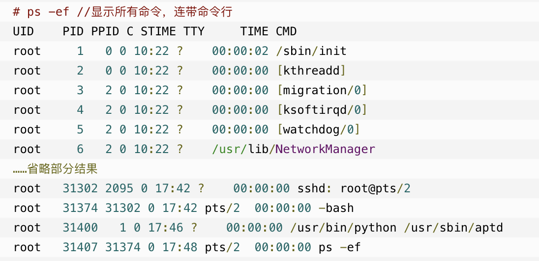 Linux终端命令行，如何高效使用？