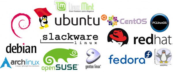 Linux REST，探索其在现代开发中的应用与优势