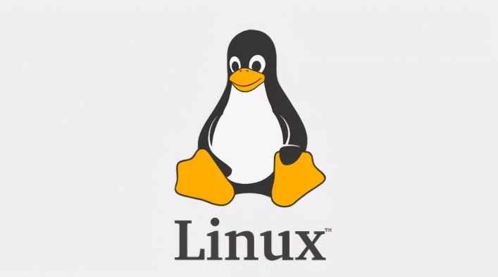 Linux Any，探索Linux系统的无限可能性？