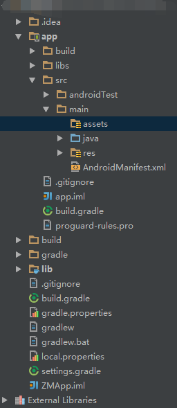 Android开发中assets文件夹扮演着怎样的角色？