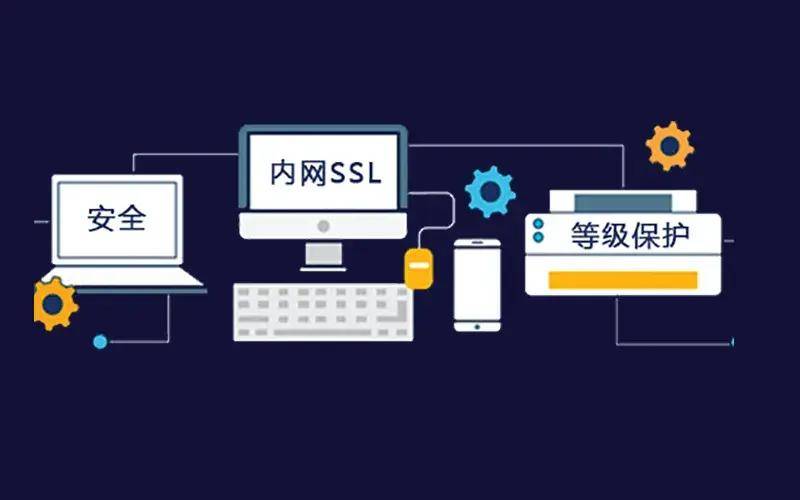如何确保门户网站域名的安全性和有效性？  第1张