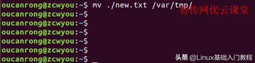Linux BAK文件是什么？如何有效管理和使用它们？