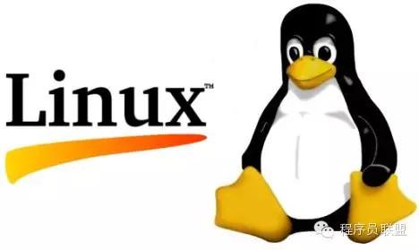 探索Pure Linux，它是什么，有何独特之处？