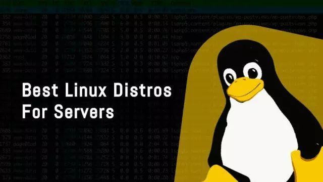 Linux 770，这是什么？它有何独特之处？  第1张