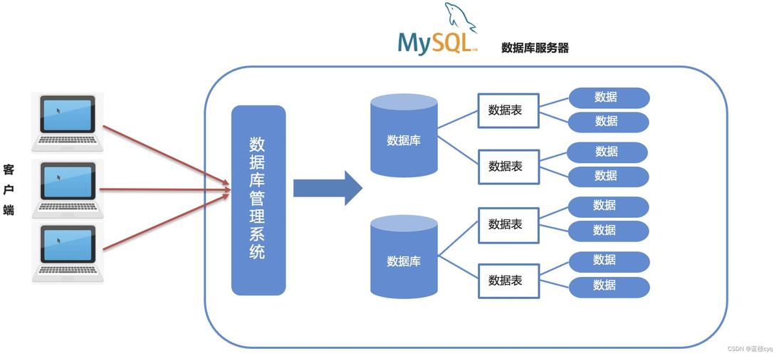 如何解决MySQL 8中修改数据库路径的疑难问题并正确分配数据库权限？