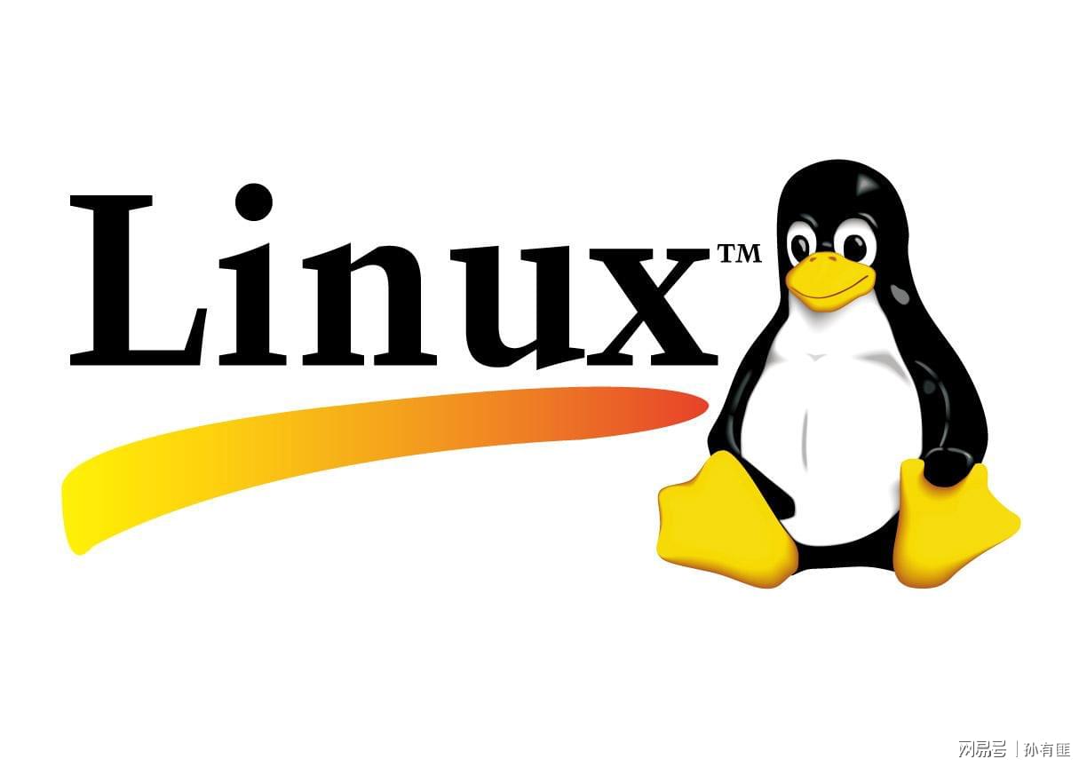 Linux 中的 lo 网卡是什么？它在系统中扮演什么角色？