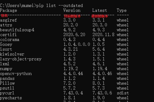 如何正确使用Linux中的Pip进行Python包管理？  第1张