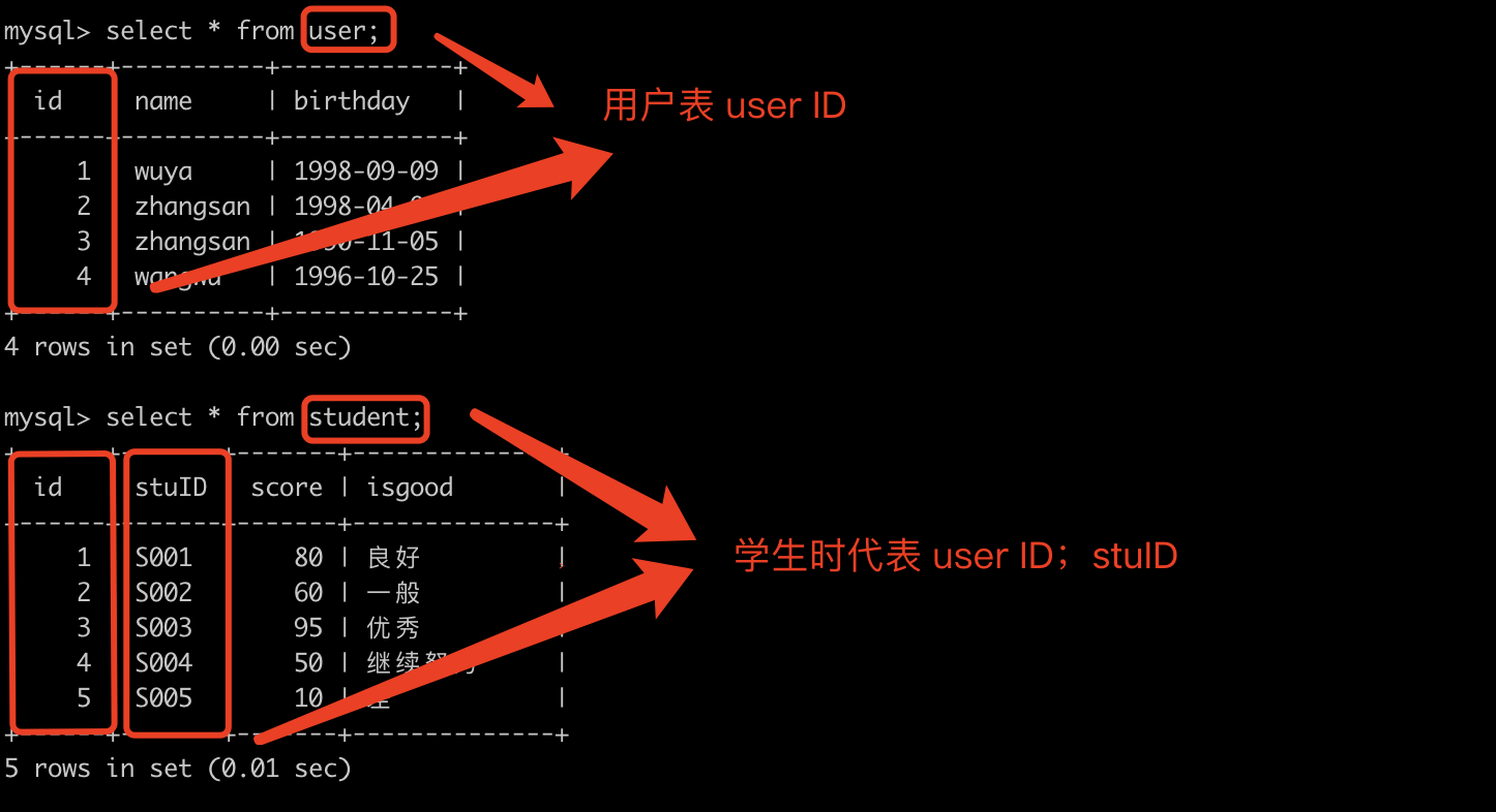 如何在MySQL数据库中添加索引并实现函数访问？