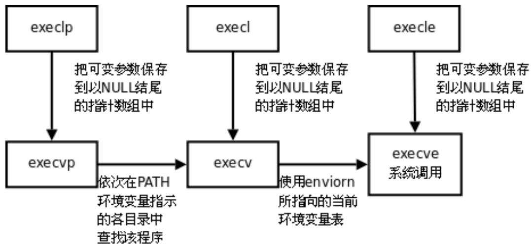 如何在Linux中使用fork和exec来创建和管理子进程？