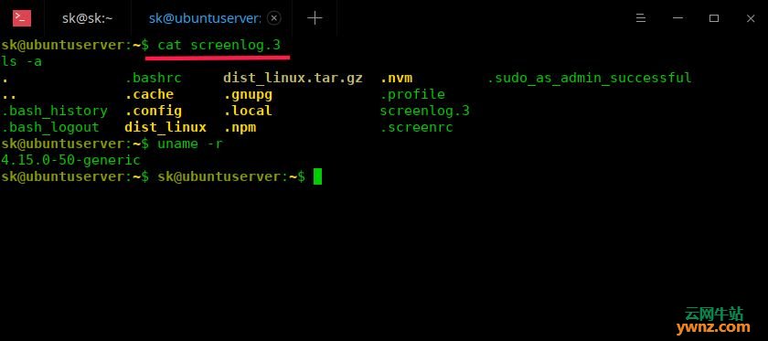 如何在Linux系统中安装并使用Screen命令？