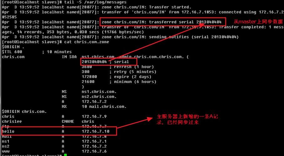 如何在Linux系统中添加域名？  第1张