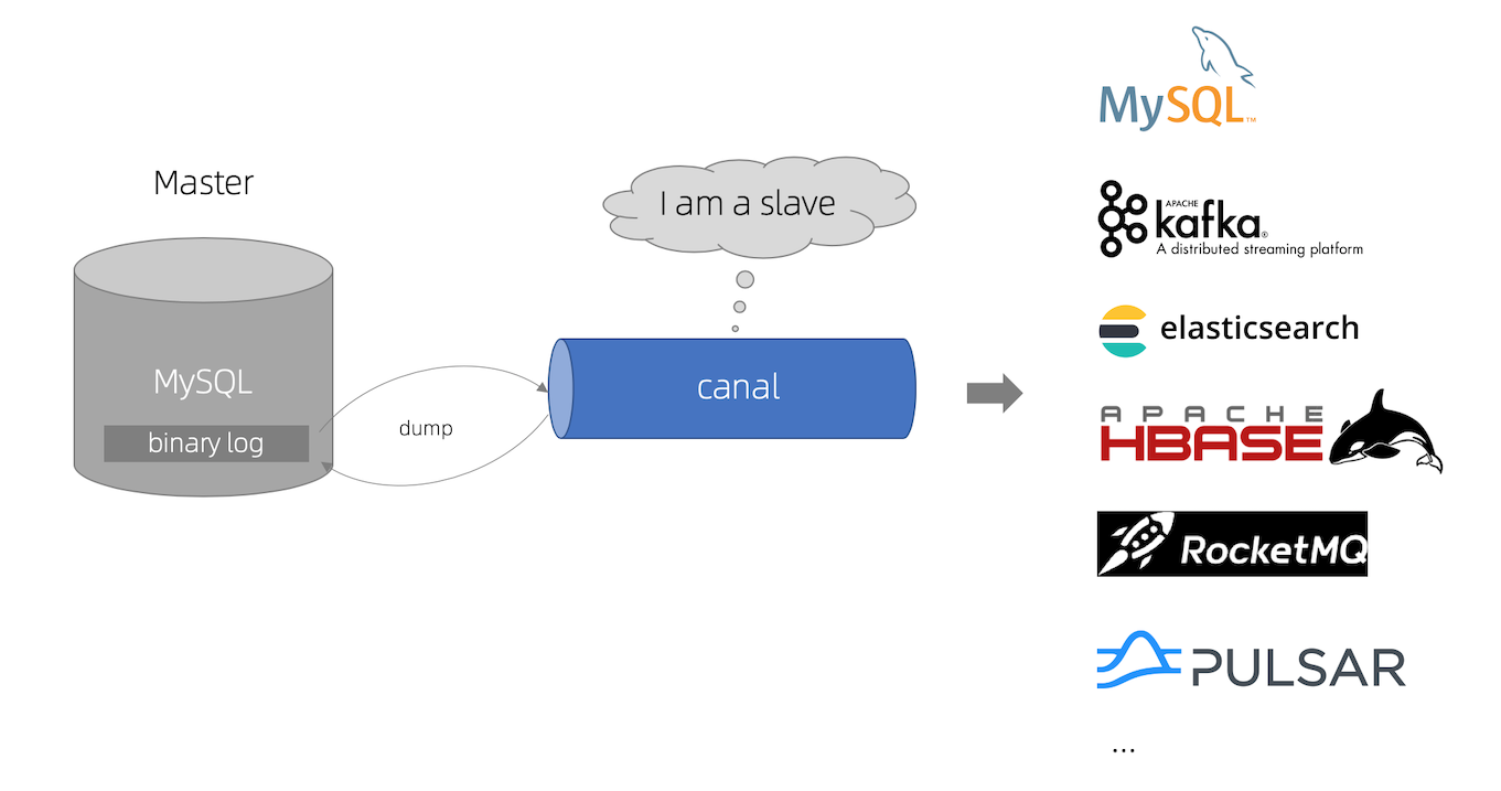 探索MySQL命令，Doris简介中有哪些实用技巧？