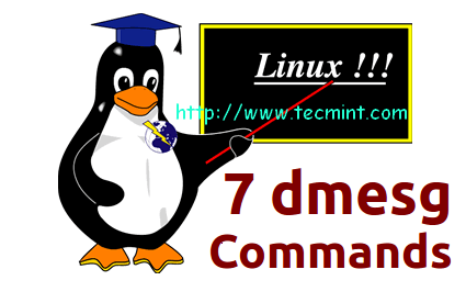 Linux DM 0是什么？探索其功能与应用